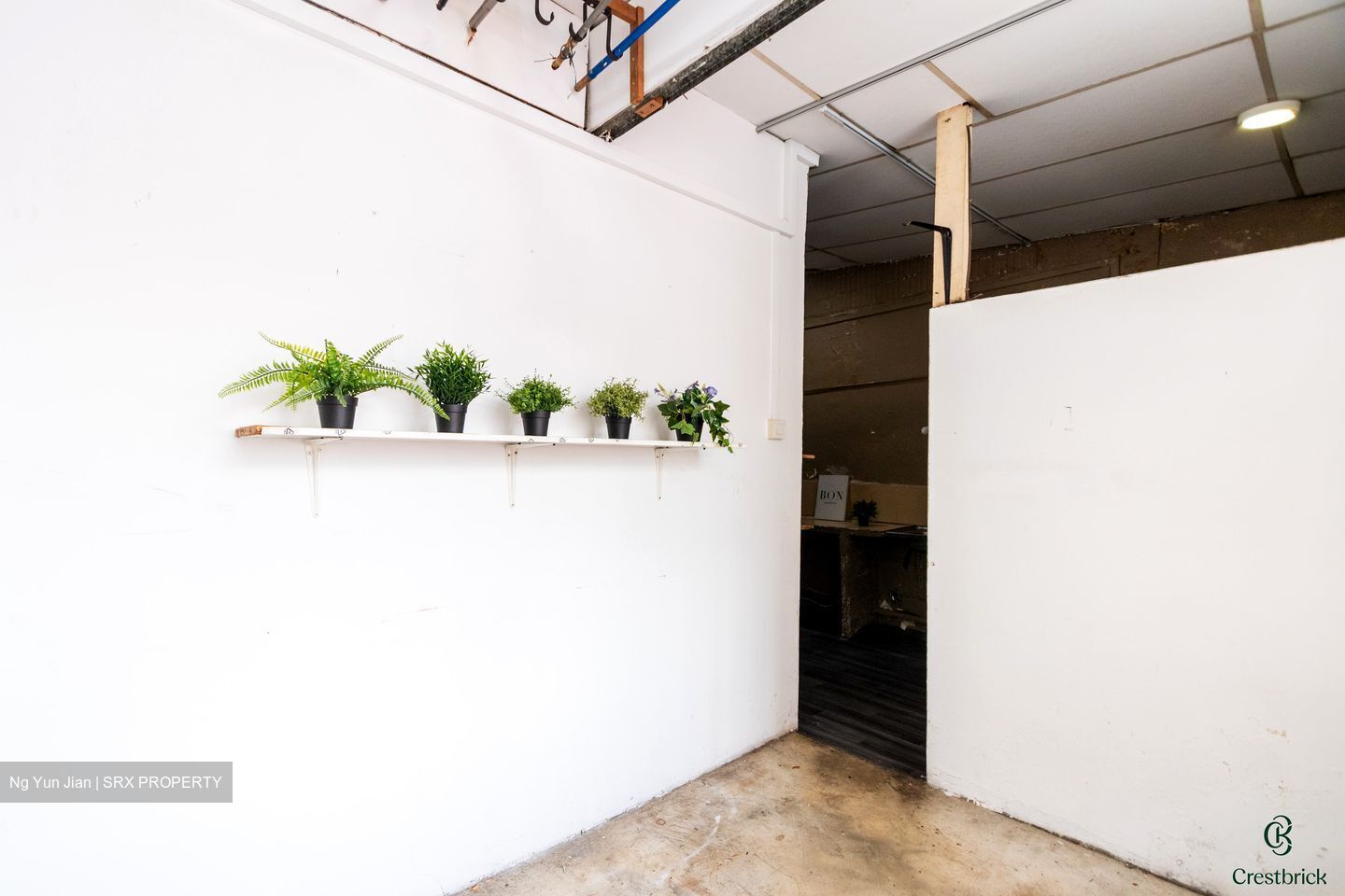 Syed Alwi Road (D8), Shop House #488467311